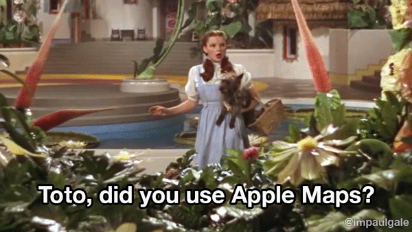 Image result for wizard of oz gif